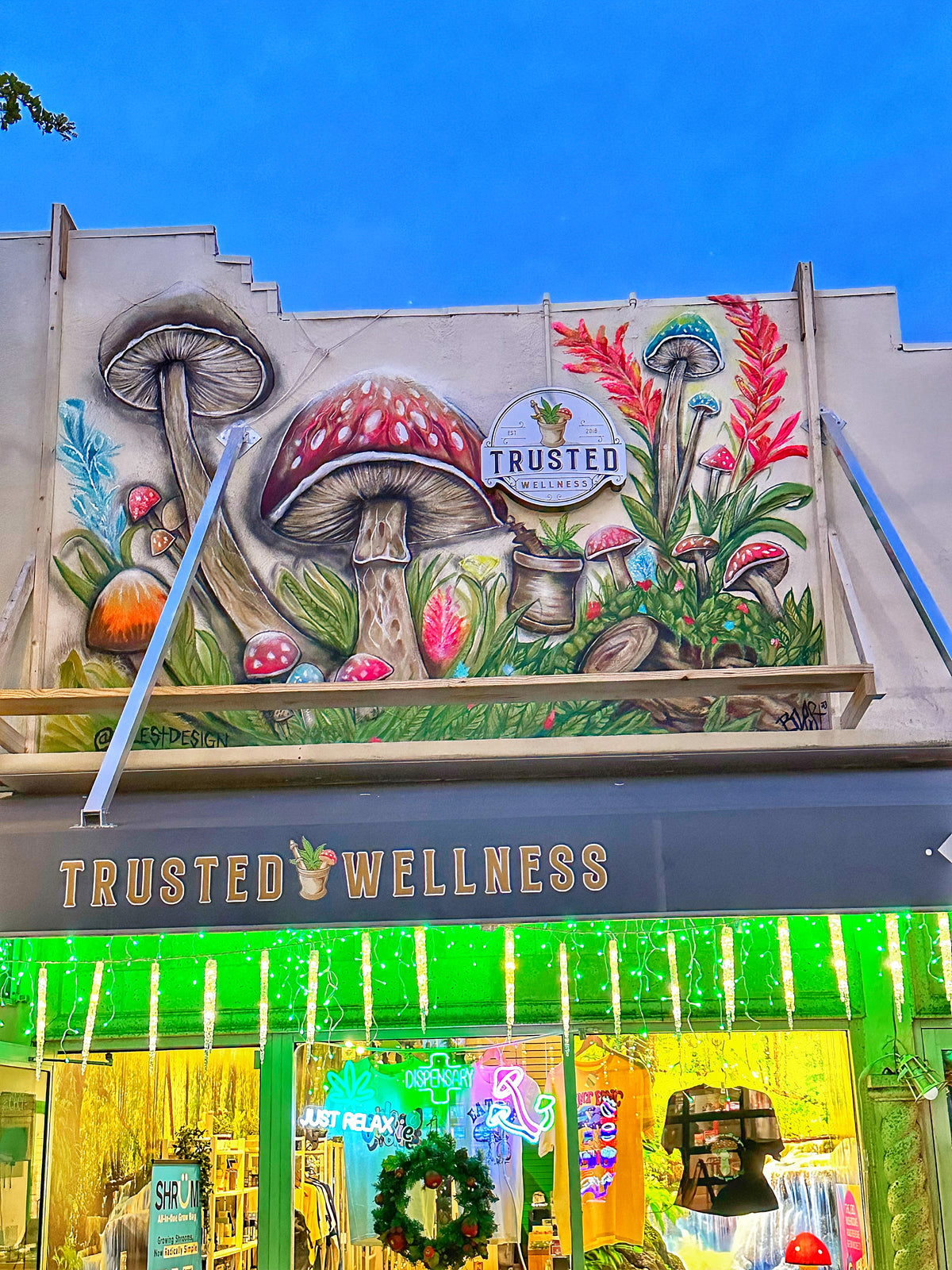 Mural artwork gallery image 111