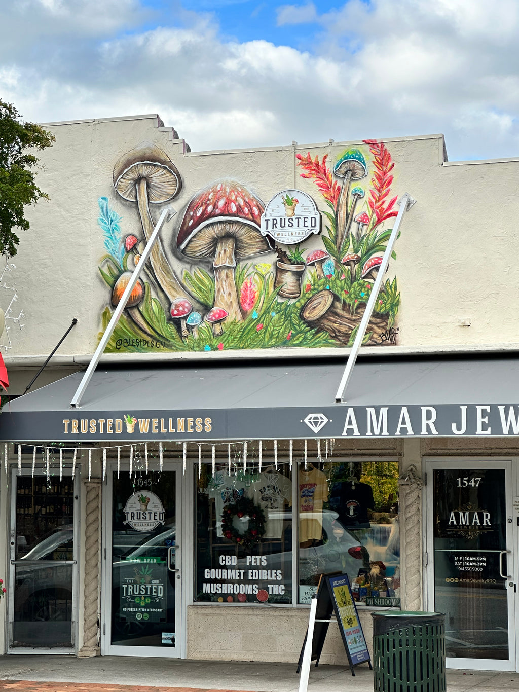 Mural artwork gallery image 112