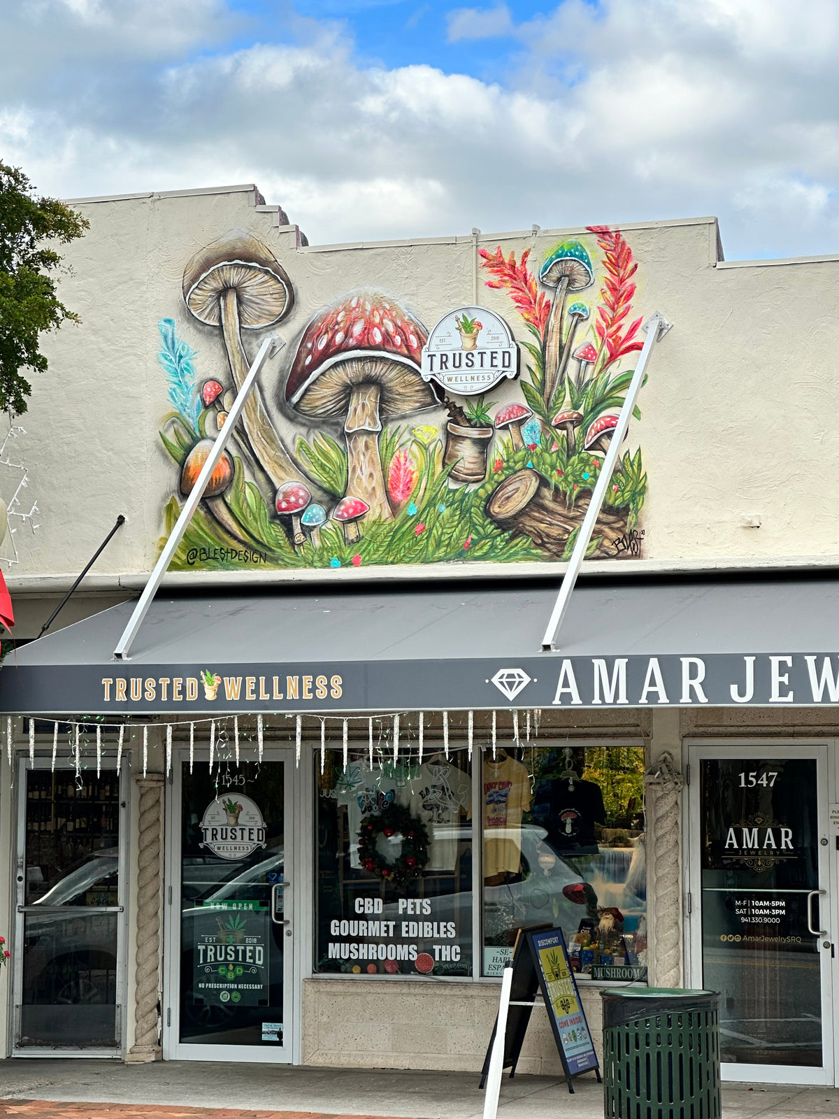 Mural artwork gallery image 112