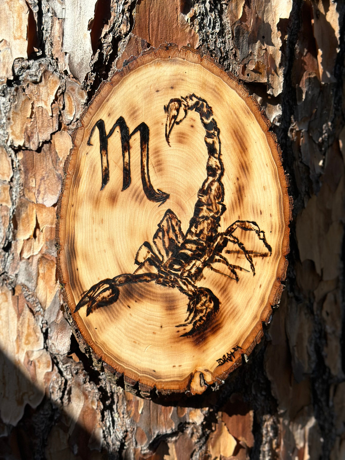 Scorpio