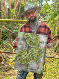 Monstera